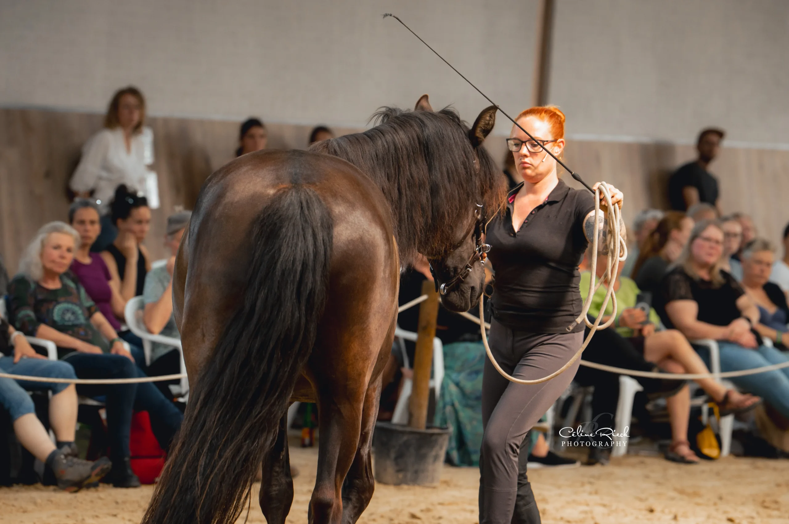 Pferdetrainerin mit Longe und Gerte arbeitet mit dunklem Pferd in Reithalle vor Publikum – Celine Raeck Photography
