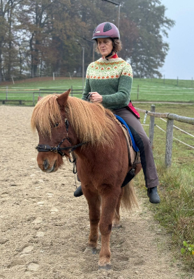 Reiterin mit Helm und Strickpullover auf braunem Islandpferd in einem Reitplatz im Herbst